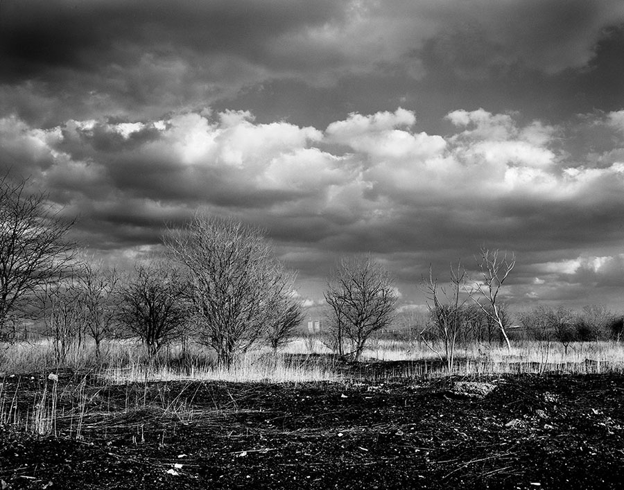 Meadowlands #3